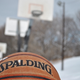 Illustration for article titled Shooting Challenge: Bokeh, Gallery 4